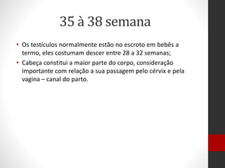 35 à 38 semana
• Os testículos normalmente estão no escroto em bebês a
termo, eles costumam descer entre 28 a 32 semanas;
• Cabeça constitui a maior parte do corpo, consideração
importante com relação a sua passagem pelo cérvix e pela
vagina – canal do parto.
 