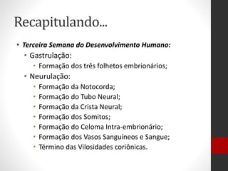 Recapitulando...
• Terceira Semana do Desenvolvimento Humano:
• Gastrulação:
• Formação dos três folhetos embrionários;
• Neurulação:
• Formação da Notocorda;
• Formação do Tubo Neural;
• Formação da Crista Neural;
• Formação dos Somitos;
• Formação do Celoma Intra-embrionário;
• Formação dos Vasos Sanguíneos e Sangue;
• Término das Vilosidades coriônicas.
 