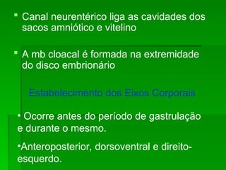  Canal neurentérico liga as cavidades dos
sacos amniótico e vitelino
 A mb cloacal é formada na extremidade
do disco embrionário
Estabelecimento dos Eixos Corporais
• Ocorre antes do período de gastrulação
e durante o mesmo.
•Anteroposterior, dorsoventral e direito-
esquerdo.
 