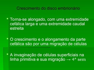 Crescimento do disco embrionário
 Torna-se alongado, com uma extremidade
cefálica larga e uma extremidade caudal
estreita
 O crescimento e o alongamento da parte
cefálica são por uma migração de células
 A invaginação de células superficiais na
linha primitiva e sua migração → 4ª sem
 