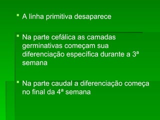  A linha primitiva desaparece
 Na parte cefálica as camadas
germinativas começam sua
diferenciação específica durante a 3ª
semana
 Na parte caudal a diferenciação começa
no final da 4ª semana
 