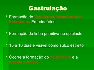 Gastrulação
 Formação do Ectoderma, Mesoderma e
Endoderma Embrionários
 Formação da linha primitiva no epiblasto
 15 a 16 dias é visível como sulco estreito
 Ocorre a formação do nó primitivo e a
fosseta primitiva
 
