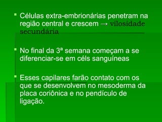  Células extra-embrionárias penetram na
região central e crescem →
→ vilosidade
secundária
 No final da 3ª semana começam a se
diferenciar-se em céls sanguíneas
 Esses capilares farão contato com os
que se desenvolvem no mesoderma da
placa coriônica e no pendículo de
ligação.
 