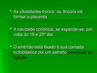  As vilosidades-tronco ou âncora vai
As vilosidades-tronco ou âncora vai
formar a placenta
formar a placenta
 A cavidade coriônica, se expande-se, por
A cavidade coriônica, se expande-se, por
volta do 19 e 20º dia
volta do 19 e 20º dia
 O embrião está fixado à sua camada
O embrião está fixado à sua camada
trofoblástica por um estreito
trofoblástica por um estreito pendículo de
ligação
 