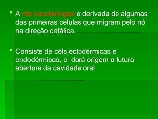  A mb bucofaríngea é derivada de algumas
das primeiras células que migram pelo nó
na direção cefálica.
 Consiste de céls ectodérmicas e
endodérmicas, e dará origem a futura
abertura da cavidade oral
 