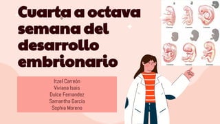 Cuarta a octava
semana del
desarrollo
embrionario
Itzel Carreón
Viviana Isais
Dulce Fernandez
Samantha García
Sophia Moreno
 