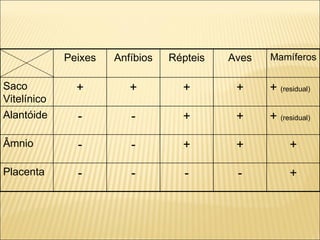 Peixes Anfíbios Répteis Aves Mamíferos Saco Vitelínico + + + + +  (residual) Alantóide - - + + +  (residual) Âmnio - - + + + Placenta - - - - + 