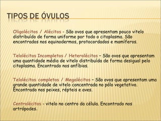 Oligolécitos / Alécitos  - São ovos que apresentam pouco vitelo distribuído de forma uniforme por todo o citoplasma. São encontrados nos equinodermos, protocordados e mamíferos . Telolécitos   Incompletos   / Heterolécitos  – São ovos que apresentam uma quantidade média de vitelo distribuída de forma desigual pelo citoplasma. Encontrado nos anfíbios . Telolécitos completos / Megalécitos  – São ovos que apresentam uma grande quantidade de vitelo concentrada no pólo vegetativo. Encontrado nos peixes, répteis e aves. Centrolécitos  - vitelo no centro da célula. Encontrado nos artrópodes . 