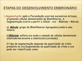 1. Segmentação : após a Fecundação ocorrem sucessivas mitoses, originando células denominadas de Blastômeros. A Segmentação ocorre a partir a Célula - ovo – Blástula – Mórula. a)   Mórula : grupo de Blastômeros Agregados.Lembra uma Amora; b) Blástula : esfera oca onde a camada de células denominada  blastoderma  envolve a  blastocela  (cavidade); O tipo de segmentação depende da quantidade de vitelo presente no ovo.Dependendo da quantidade de vitelo o ovo pode ser classificado como: 