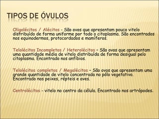 Oligolécitos / Alécitos  - São ovos que apresentam pouco vitelo distribuído de forma uniforme por todo o citoplasma. São encontrados nos equinodermos, protocordados e mamíferos . Telolécitos   Incompletos   / Heterolécitos  – São ovos que apresentam uma quantidade média de vitelo distribuída de forma desigual pelo citoplasma. Encontrado nos anfíbios . Telolécitos completos / Megalécitos  – São ovos que apresentam uma grande quantidade de vitelo concentrada no pólo vegetativo. Encontrado nos peixes, répteis e aves. Centrolécitos  - vitelo no centro da célula. Encontrado nos artrópodes . 