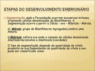 1. Segmentação : após a Fecundação ocorrem sucessivas mitoses, originando células denominadas de Blastômeros. A Segmentação ocorre a partir a Célula - ovo – Blástula – Mórula. a)   Mórula : grupo de Blastômeros Agregados.Lembra uma Amora; b) Blástula : esfera oca onde a camada de células denominada  blastoderma  envolve a  blastocela  (cavidade); O tipo de segmentação depende da quantidade de vitelo presente no ovo.Dependendo da quantidade de vitelo o ovo pode ser classificado como: 