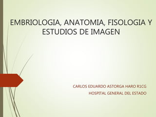 EMBRIOLOGIA, ANATOMIA, FISOLOGIA Y
ESTUDIOS DE IMAGEN
CARLOS EDUARDO ASTORGA HARO R1CG
HOSPITAL GENERAL DEL ESTADO
 