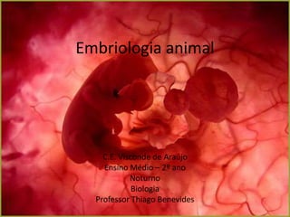 Embriologia animal
C.E. Visconde de Araújo
Ensino Médio – 2º ano
Noturno
Biologia
Professor Thiago Benevides
 