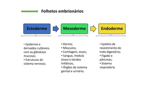 Folhetos embrionários
Ectoderme Mesoderme Endoderme
• Epiderme e
derivados cutâneos,
com as glândulas
mucosas;
• Estruturas do
sistema nervoso;
• Derme;
• Músculos;
• Cartilagem, ossos;
• Sangue, medula
óssea e tecidos
linfáticos;
• Órgãos do sistema
genital e urinário.
• Epitélio de
revestimento do
trato digestório;
• Fígado e
pâncreas;
• Sistema
respiratório
 