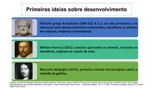Primeiras ideias sobre desenvolvimento
Filósofo grego Aristóteles (384-322 A.C.): um dos primeiros a se
interessar pelo desenvolvimento embrionário; classificou os animais
em ovíparos, vivíparos e ovovivíparos.
William Harvey (1651): concluiu que todos os animais, inclusive os
mamíferos, originam-se a partir de ovos.
Marcello Malpighi (1672): primeiro estudo microscópico sobre o
embrião de galinha.
Imagens: (a) Busto di Aristotele conservato a Palazzo Altaemps, Roma./foto: Giovanni Dall'Orto/The use of this image is free for any purpose; (b) William Harvey, 1627./imagem
disponibilizada por Daniel Mytens/National Portrait Gallery, London/United States Public Domain. ; (c) Marcello Malpighi, 1911./L.C. Miall. The History of Biology. Watts and Co./United
States Public Domain.
 