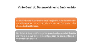 As divisões que ocorrem durante a segmentação denominam-
s e c l i v a g e n s , e a s c é l u l a s q u e s e f o r m a m s ã o
chamadas blastômeros.
No Reino Animal, a diferença na quantidade e na distribuição
do vitelo no ovo determina diferenças na segmentação e
velocidade de divisão.
 