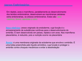Anexos Embrionários
Em répteis, aves e mamíferos, paralelamente ao desenvolvimento
dos tecidos embrionários, desenvolvem-se membranas celulares
extra embrionárias, os anexos embrionários. Estes são: saco
vitelínico, âmnio, alantóide e cório.
Saco vitelínico: anexo originado da endoderme, cuja função é o
armazenamento de substâncias nutritivas para o desenvolvimento do
embrião. É bem desenvolvido em peixes, répteis e em aves. Nos mamíferos
placentários, é reduzido, pois a nutrição ocorre via placentária
Âmnio: é uma membrana originada da ectoderme que envolve o embrião. É
uma bolsa preenchida pelo líquido amniótico, cuja função é proteger o
embrião contra choques mecânicos e evitar a desidratação
 