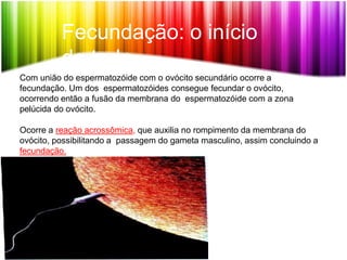 Fecundação: o início
de tudo
Com união do espermatozóide com o ovócito secundário ocorre a
fecundação. Um dos espermatozóides consegue fecundar o ovócito,
ocorrendo então a fusão da membrana do espermatozóide com a zona
pelúcida do ovócito.
Ocorre a reação acrossômica, que auxilia no rompimento da membrana do
ovócito, possibilitando a passagem do gameta masculino, assim concluindo a
fecundação.
 