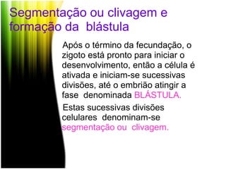 Segmentação ou clivagem e
formação da blástula
Após o término da fecundação, o
zigoto está pronto para iniciar o
desenvolvimento, então a célula é
ativada e iniciam-se sucessivas
divisões, até o embrião atingir a
fase denominada BLÁSTULA.
Estas sucessivas divisões
celulares denominam-se
segmentação ou clivagem.
 