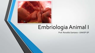 Embriologia Animal I
Prof. Ronaldo Santana – UNASP-SP
 