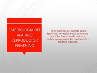 Embriogénesis del aparato genital
femenino, formación de los conductos
de müller, formación de la cloaca,
bulbos sinovaginales. Formación de los
genitales externos.
EMBRIOLOGÍA DEL
APARATO
REPRODUCTOR
FEMENINO
 