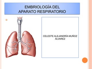EMBRIOLOGÍA DEL 
APARATO RESPIRATORIO 
 
CELESTE ALEJANDRÍA MUÑOZ 
ÁLVAREZ 
 