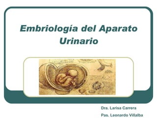 Embriología del Aparato Urinario Dra. Larisa Carrera Pas. Leonardo Villalba 