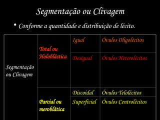 Segmentação ou Clivagem
• Conforme a quantidade e distribuição de lécito.
Segmentação
ou Clivagem
Total ou
Holoblástica
Igual Óvulos Oligolécitos
Desigual Óvulos Heterolécitos
Parcial ou
meroblática
Discoidal Óvulos Telolécitos
Superficial Óvulos Centrolécitos
 