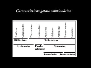 Características gerais embrionárias
 