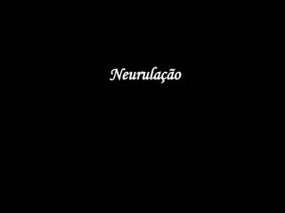 Neurulação
 