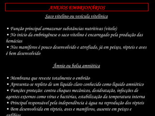 Saco vitelino ou vesícula vitelínica
• Função principal armazenar substâncias nutritivas (vitelo)
• No início da embriogênese o saco vitelino é encarregado pela produção das
hemácias
• Nos mamíferos é pouco desenvolvido e atrofiado, já em peixes, répteis e aves
é bem desenvolvido
Âmnio ou bolsa amniótica
• Membrana que reveste totalmente o embrião
• Apresenta-se repleto de um líquido claro conhecido como líquido amniótico
• Funções proteção: contra choques mecânicos, desidratação, infecções de
agentes externos como vírus e bactérias, estabilização da temperatura interna
• Principal responsável pela independência à água na reprodução dos répteis
• Bem desenvolvida em répteis, aves e mamíferos, ausente em peixes e
ANEXOS EMBRIONÁRIOS
 