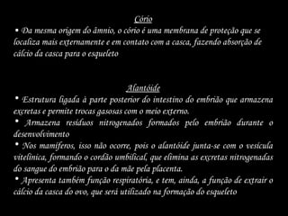 Cório
• Da mesma origem do âmnio, o cório é uma membrana de proteção que se
localiza mais externamente e em contato com a casca, fazendo absorção de
cálcio da casca para o esqueleto
Alantóide
• Estrutura ligada à parte posterior do intestino do embrião que armazena
excretas e permite trocas gasosas com o meio externo.
• Armazena resíduos nitrogenados formados pelo embrião durante o
desenvolvimento
• Nos mamíferos, isso não ocorre, pois o alantóide junta-se com o vesícula
vitelínica, formando o cordão umbilical, que elimina as excretas nitrogenadas
do sangue do embrião para o da mãe pela placenta.
• Apresenta também função respiratória, e tem, ainda, a função de extrair o
cálcio da casca do ovo, que será utilizado na formação do esqueleto
 