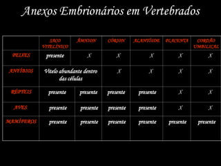 Anexos Embrionários em Vertebrados
SACO
VITELÍNICO
ÂMNION CÓRION ALANTÓIDE PLACENTA CORDÃO
UMBILICAL
PEIXES presente X X X X X
ANFÍBIOS Vitelo abundante dentro
das células
X X X X
RÉPTEIS presente presente presente presente X X
AVES presente presente presente presente X X
MAMÍFEROS presente presente presente presente presente presente
 