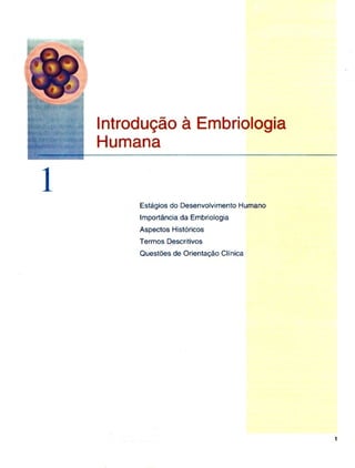 Embriologia básica (moore-persaud)