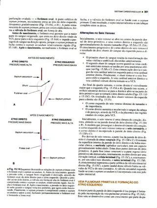 Embriologia básica (moore-persaud)_pg_300-453