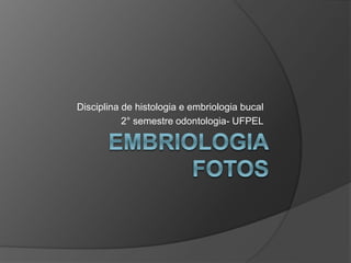 Disciplina de histologia e embriologia bucal
2° semestre odontologia- UFPEL
 