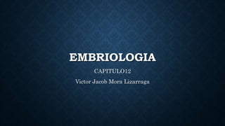 EMBRIOLOGIA
CAPITULO12
Victor Jacob Mora Lizarraga
 