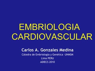 EMBRIOLOGIA CARDIOVASCULAR Carlos A. Gonzales Medina Cátedra de Embriología y Genética –UNMSM Lima PERU ADIECS 2010 