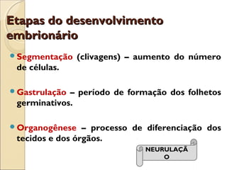 Etapas do desenvolvimentoEtapas do desenvolvimento
embrionárioembrionário
Segmentação (clivagens) – aumento do número
de células.
Gastrulação – período de formação dos folhetos
germinativos.
Organogênese – processo de diferenciação dos
tecidos e dos órgãos.
NEURULAÇÃ
O
 