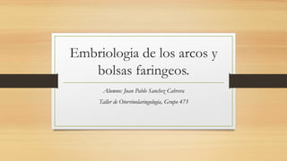 Embriologia de los arcos y
bolsas faringeos.
Alumno: Juan Pablo Sanchez Cabrera
Taller de Otorrinolaringologia, Grupo 473
 