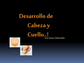 Desarrollo de
Cabeza y
Cuello..!Prof. Jaime Zalchendler
 