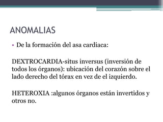 ANOMALIAS
• De la formación del asa cardiaca:
DEXTROCARDIA-situs inversus (inversión de
todos los órganos): ubicación del corazón sobre el
lado derecho del tórax en vez de el izquierdo.
HETEROXIA :algunos órganos están invertidos y
otros no.

 