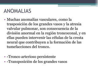 ANOMALIAS
• Muchas anomalías vasculares, como la
trasposición de los grandes vasos y la atresia
valvular pulmonar, son consecuencia de la
división anormal en la región troncoconal, y en
ellas pueden intervenir las células de la cresta
neural que contribuyen a la formación de las
tumefacciones del tronco.
• -Tronco arterioso persistente
• -Transposición de los grandes vasos

 