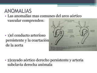 ANOMALIAS

• Las anomalías mas comunes del arco aórtico
vascular comprenden:

• 1)el conducto arterioso
persistente y la coartación
de la aorta

• 2)cayado aórtico derecho persistente y arteria
subclavia derecha anómala

 