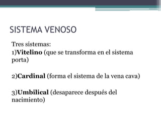 SISTEMA VENOSO
Tres sistemas:
1)Vitelino (que se transforma en el sistema
porta)
2)Cardinal (forma el sistema de la vena cava)
3)Umbilical (desaparece después del
nacimiento)

 