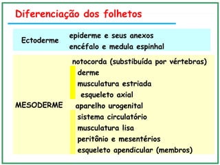 Diferenciação dos folhetos
Ectoderme
epiderme e seus anexos
encéfalo e medula espinhal 
MESODERME
notocorda (substibuída por vértebras)
derme
musculatura estriada
esqueleto axial
aparelho urogenital
sistema circulatório
musculatura lisa
peritônio e mesentérios
esqueleto apendicular (membros)
 
 