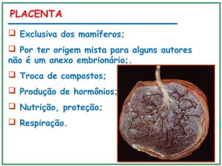 PLACENTA
 Exclusiva dos mamíferos;
 Por ter origem mista para alguns autores
não é um anexo embrionário;.
 Troca de compostos;
 Produção de hormônios;
 Nutrição, proteção;
 Respiração.
 