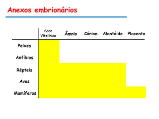 Peixes
Anfíbios
Répteis
Aves
Mamíferos
Saco
Vitelínico Âmnio
Anexos embrionários
Córion Alantóide Placenta
 