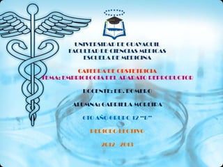UNIVERSIDAD DE GUAYAQUIL
       FACULTAD DE CIENCIAS MEDICAS
           ESCUELA DE MEDICINA

          CATEDRA DE OBSTETRICIA
TEMA: EMBRIOLOGIA DEL APARATO REPRODUCTOR

           DOCENTE: DR. ROMERO

        ALUMNA: GABRIELA MOREIRA

           6TO AÑO GRUPO 12 “B”

             PERIODO LECTIVO

                2012 - 2013
 