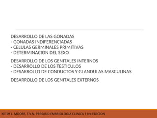 Ketih Rundle EMBRIOLOGIA DEL APARATO REPRODUCTOR MASCULINO.ppt